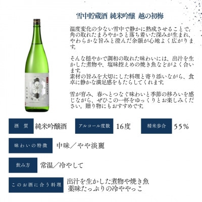 日本酒 越の初梅 雪中貯蔵酒 純米吟醸 720ml×1本 高の井酒造 新潟