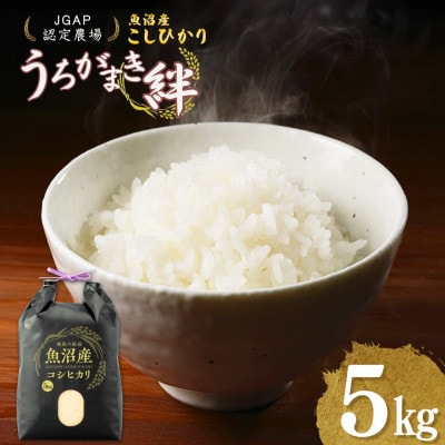 魚沼産コシヒカリ 精米 5kg JGAP認証農場 うちがまき絆