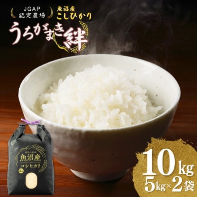 魚沼産コシヒカリ 精米 10kg JGAP認証農場 うちがまき絆