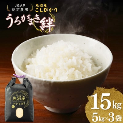 魚沼産コシヒカリ 精米 15kg JGAP認証農場 うちがまき絆