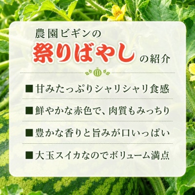【 先行予約 7月下旬以降発送 】 大玉スイカ 祭りばやし777 2玉 令和8年産 新潟県小千谷産