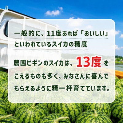 【 先行予約 7月下旬以降発送 】 大玉スイカ 祭りばやし777 2玉 令和8年産 新潟県小千谷産