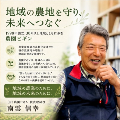 【 先行予約 7月下旬以降発送 】 大玉スイカ 祭りばやし777 2玉 令和8年産 新潟県小千谷産