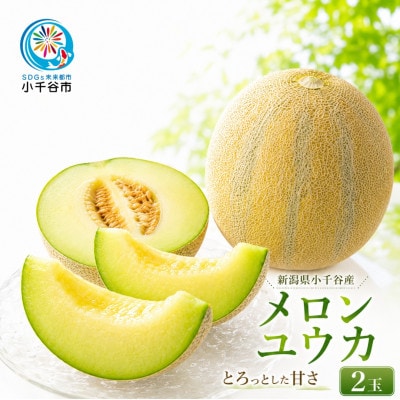 【 先行予約 7月下旬以降発送 】 とろける甘さのユウカメロン 約2kg×2個 農園ビギン 新潟県