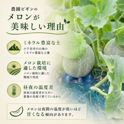 【 先行予約 7月下旬以降発送 】 とろける甘さのユウカメロン 約2kg×2個 農園ビギン 新潟県