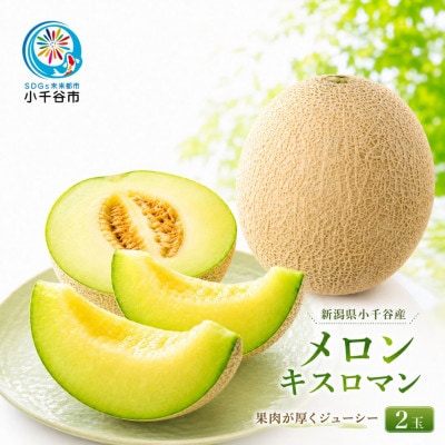 【 先行予約 8月上旬頃発送 】 新潟県小千谷産 ジューシーなキスロマン 約2kg×2玉 農園ビギン