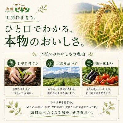 【 先行予約 8月上旬頃発送 】 新潟県小千谷産 ジューシーなキスロマン 約2kg×2玉 農園ビギン