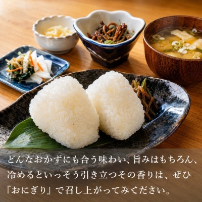 【令和8年産新米先行予約】 魚沼産コシヒカリ 精米15kg 共栄農工社 (10月下旬頃より順次発送)