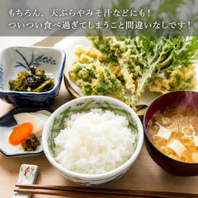 【令和8年産新米先行予約】 魚沼産コシヒカリ 精米15kg 共栄農工社 (10月下旬頃より順次発送)