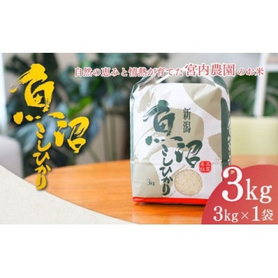 令和8年産 米 魚沼産コシヒカリ 宮内農園 精米 3kg 新潟県 小千谷市