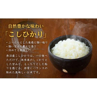 令和8年産 米 魚沼産コシヒカリ 宮内農園 精米 3kg 新潟県 小千谷市