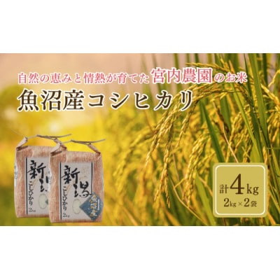 令和8年産 米 魚沼産コシヒカリ 宮内農園 精米 計4kg(2kg2袋) 新潟県 小千谷市