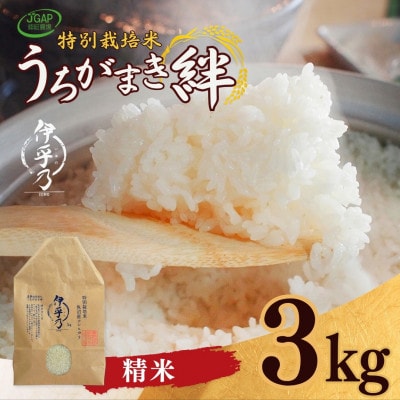 【令和8年産】米 魚沼産 コシヒカリ 特別栽培米「伊乎乃(いおの)」3kg うちがまき絆 精米 新潟
