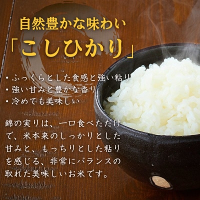 【令和8年産】米 魚沼産 コシヒカリ 特別栽培米「伊乎乃(いおの)」3kg うちがまき絆 精米 新潟