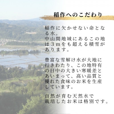 【令和8年産】米 魚沼産 コシヒカリ 特別栽培米「伊乎乃(いおの)」5kg うちがまき絆 精米 新潟