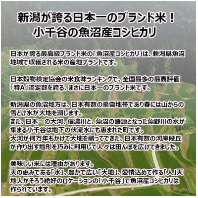 【毎月定期便】おぢや米 魚沼産コシヒカリ5kg(JA魚沼)全3回