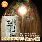 【毎月定期便】魚沼産コシヒカリ 精米5kg 四尺玉花火の町小千谷市片貝町 米萬商店 新潟県全3回