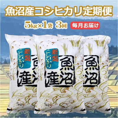【毎月定期便】魚沼産 コシヒカリ 精米 5kg 共栄農工社のおいしいお米全3回