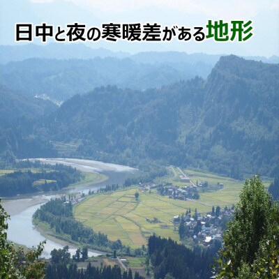 【毎月定期便】魚沼産 コシヒカリ おぢや米 精米 5kg JA魚沼全3回