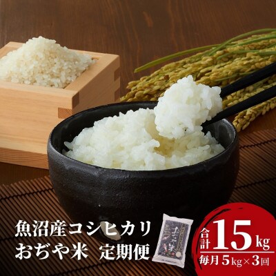 【毎月定期便】2025年10月発送開始 魚沼産コシヒカリ 精米5kg JA魚沼全3回