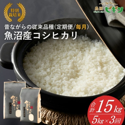 【発送月固定定期便】2025年11月発送開始 魚沼産コシヒカリ 精米5kg従来品種 農園ビギン全3回