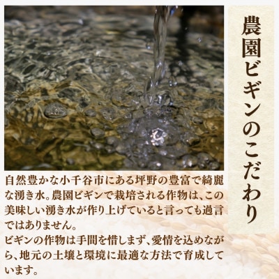 【発送月固定定期便】2025年11月発送開始 魚沼産コシヒカリ 精米5kg従来品種 農園ビギン全3回