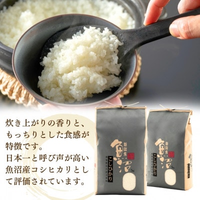 【発送月固定定期便】2025年11月発送開始 魚沼産コシヒカリ 精米5kg従来品種 農園ビギン全3回