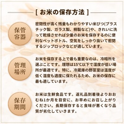 【発送月固定定期便】2025年11月発送開始 魚沼産コシヒカリ 精米5kg従来品種 農園ビギン全3回