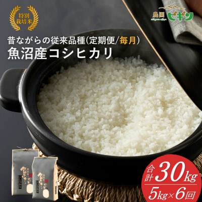 【発送月固定定期便】2025年11月発送開始 魚沼産コシヒカリ 精米5kg従来品種 農園ビギン全6回