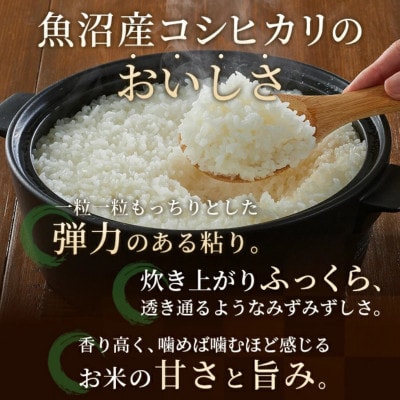 【発送月固定定期便】2025年10月発送開始予定 魚沼産コシヒカリ 精米5kg【JA魚沼】全6回