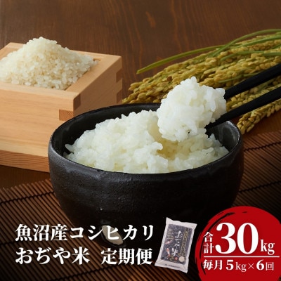 【発送月固定定期便】2025年11月発送開始予定 魚沼産コシヒカリ 精米5kg【JA魚沼】全6回