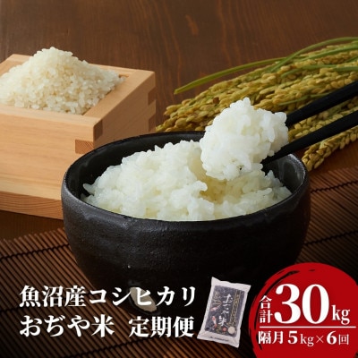 【発送月固定定期便】2025年11月発送開始予定 魚沼産コシヒカリ 精米5kg【JA魚沼】全6回