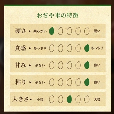 【発送月固定定期便】2026年1月発送開始 魚沼産コシヒカリ 精米5kg おぢや米 JA魚沼全6回