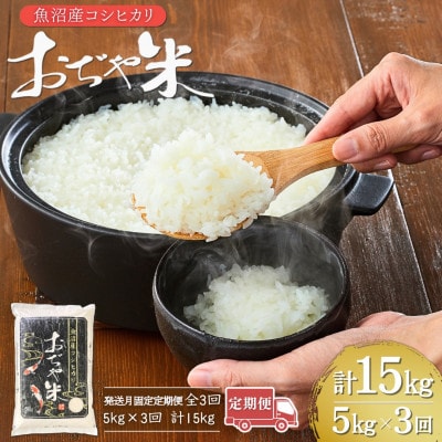 【発送月固定定期便】2026年1月発送開始 魚沼産コシヒカリ 精米5kg おぢや米 JA魚沼全3回