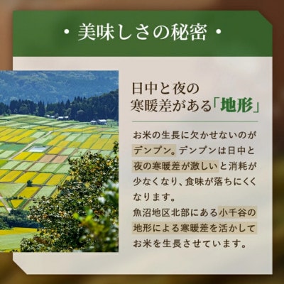 【発送月固定定期便】2026年1月発送開始 魚沼産コシヒカリ 精米5kg おぢや米 JA魚沼全3回