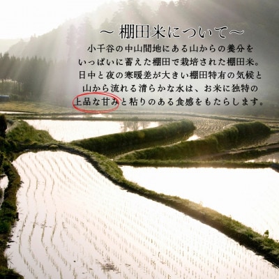 【発送月固定定期便】2026年1月発送開始 魚沼産コシヒカリ 棚田米 精米5kg全3回