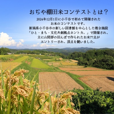【発送月固定定期便】2026年1月発送開始 魚沼産コシヒカリ 棚田米 精米5kg全6回