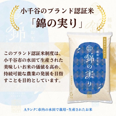 【毎月定期便】魚沼産コシヒカリ 小千谷市ブランド認証米「錦の実り」Aランク 精米5kg全6回