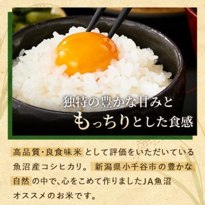 【毎月定期便】魚沼産コシヒカリ 精米5kg おぢや米全3回