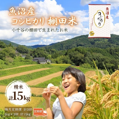 【2ヵ月毎定期便】魚沼産コシヒカリ 棚田米 精米5kg全3回