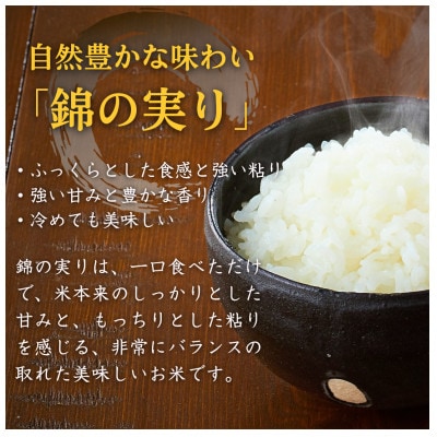 【毎月定期便】魚沼産コシヒカリ 小千谷市ブランド認証米「錦の実り」特Aランク 精米5kg全6回