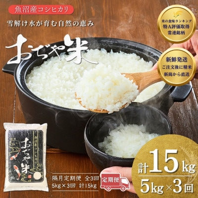 【2ヵ月毎定期便】新潟県 魚沼産 コシヒカリ 精米5kg お申込み後に精米 おぢや米全3回