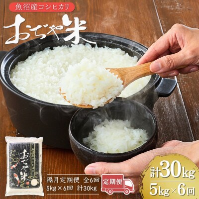 【2ヵ月毎定期便】新潟県 魚沼産 コシヒカリ 精米5kg お申込み後に精米 おぢや米全6回