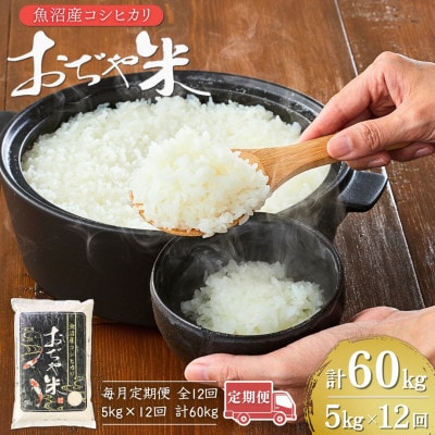 【毎月定期便】新潟県 魚沼産 コシヒカリ 精米5kg お申込み後に精米 おぢや米全12回