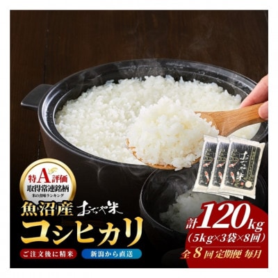 【毎月定期便】新潟県 魚沼産 コシヒカリ 精米15kg お申込み後に精米 おぢや米全8回