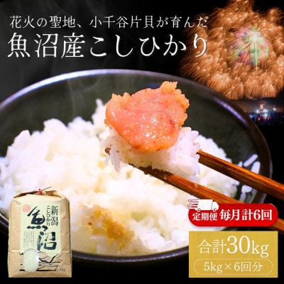 【毎月定期便】米 魚沼産コシヒカリ 精米 5kg 四尺玉花火の町小千谷市片貝町 米萬商店 新潟全6回
