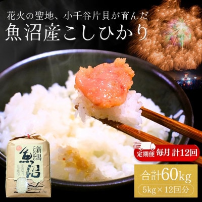 【毎月定期便】魚沼産コシヒカリ 精米 5kg 四尺玉花火の町小千谷市片貝町 米萬商店全12回