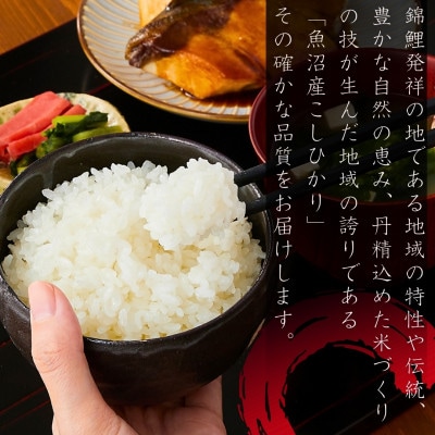 【毎月定期便】魚沼産コシヒカリ 精米5kg 四尺玉花火の町小千谷市片貝町 米萬商店 新潟県全9回