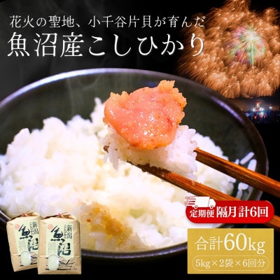 【2ヵ月毎定期便】魚沼産コシヒカリ 精米 10kg 四尺玉花火の町小千谷市片貝町 米萬商店全6回