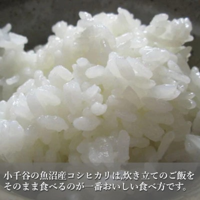 【毎月定期便】魚沼産 コシヒカリ 精米 5kg 共栄農工社のおいしいお米全3回